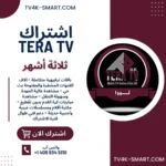 اشتراك سيرفر تيرا TERA 4K لمدة 3 أشهر