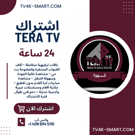 اشتراك سيرفر تيرا TERA 4K لمدة 24 ساعة