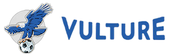 Vulture-tv